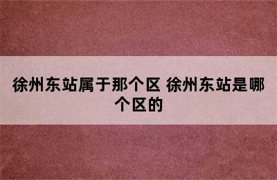 徐州东站属于那个区 徐州东站是哪个区的